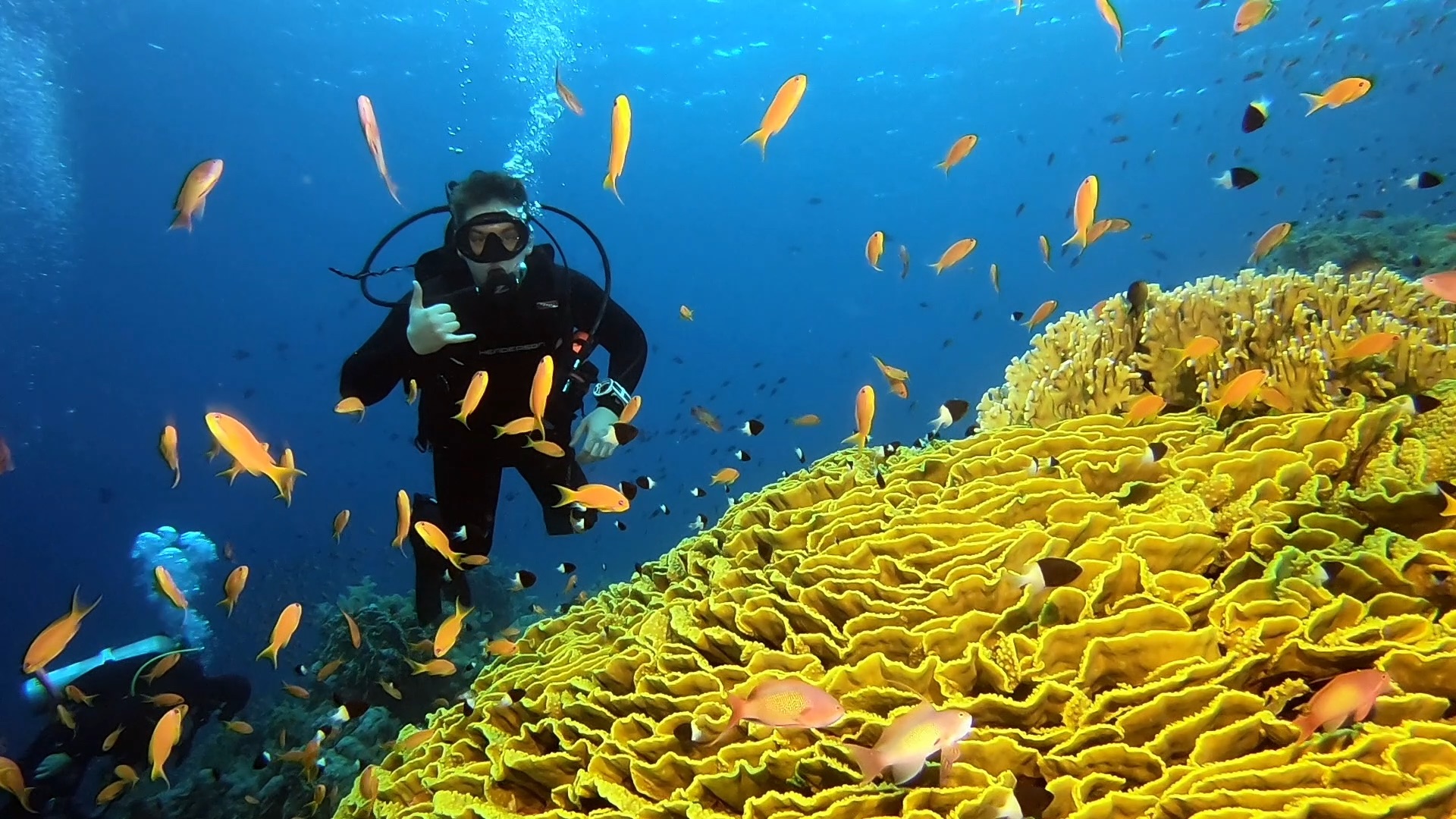 Red Sea Egypt Ras Mohammed National Marine Preserve Salad Coral